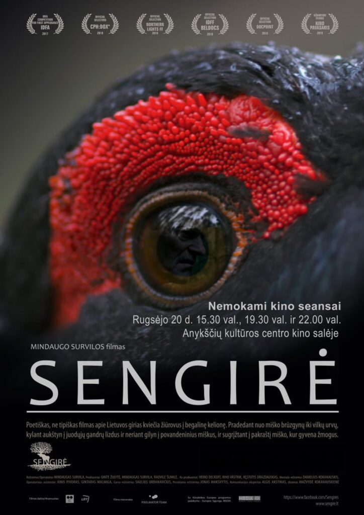 Sengirė